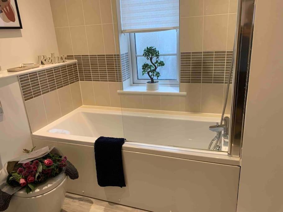 AppledramStylish & Spacious 3 Bed House With 2 Free Car Parking Spaces别墅 外观 照片